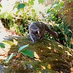 Quinta Dos Casais Holiday home
